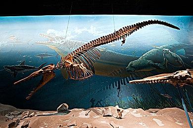 《漫漫长路 沙巫之旅》深受《辐射：新维加斯》启发