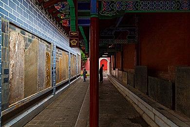 《霍格沃茨之遗》新演示片段 和魔法动物互动