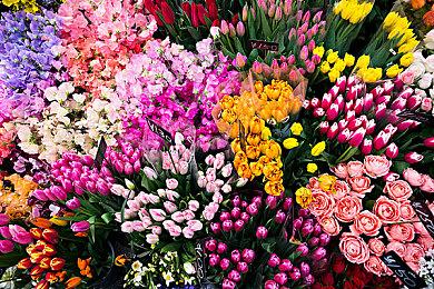 《生化危机9》更多细节内容泄露 主角确定为里昂和吉尔